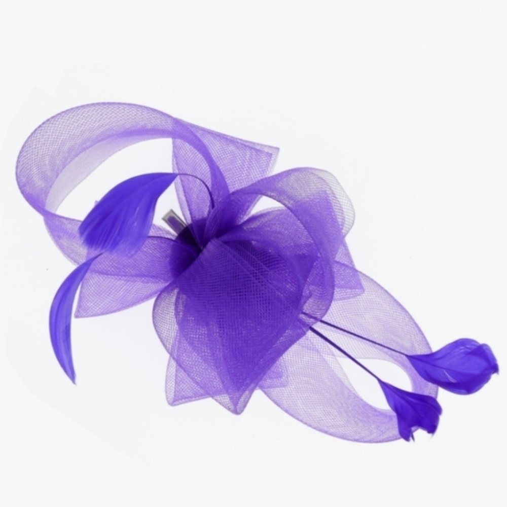 Fabulous Stunning Side Loop Fascinator Kentucky Derby Tea Brunch Chruch